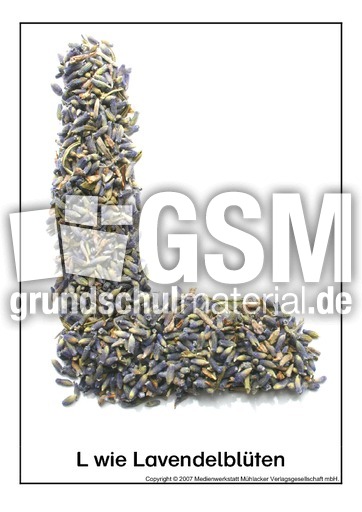 L-wie-Lavendelblüten.pdf